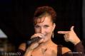 Bild-Thumbnail